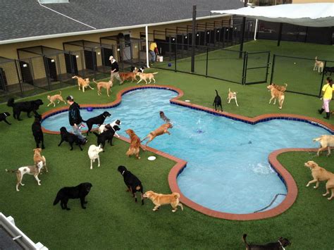 dog hotel manila|Iba pa.